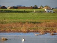Lagunas 